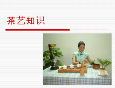 茶艺知识
