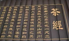 茶艺师从茶经中能学到什么