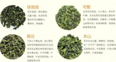 茶叶的种类都有哪些区别在哪