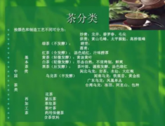 茶叶分类是如何分的培训教吗