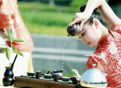 茶艺表演程序及欣赏安溪铁观音茶道